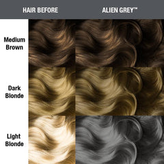 Alien Grey® - Classic High Voltage®