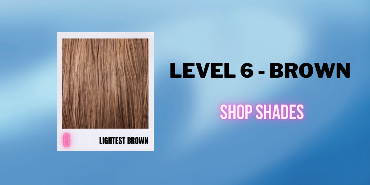 Brown - Level 6 - Shop by Hair Level